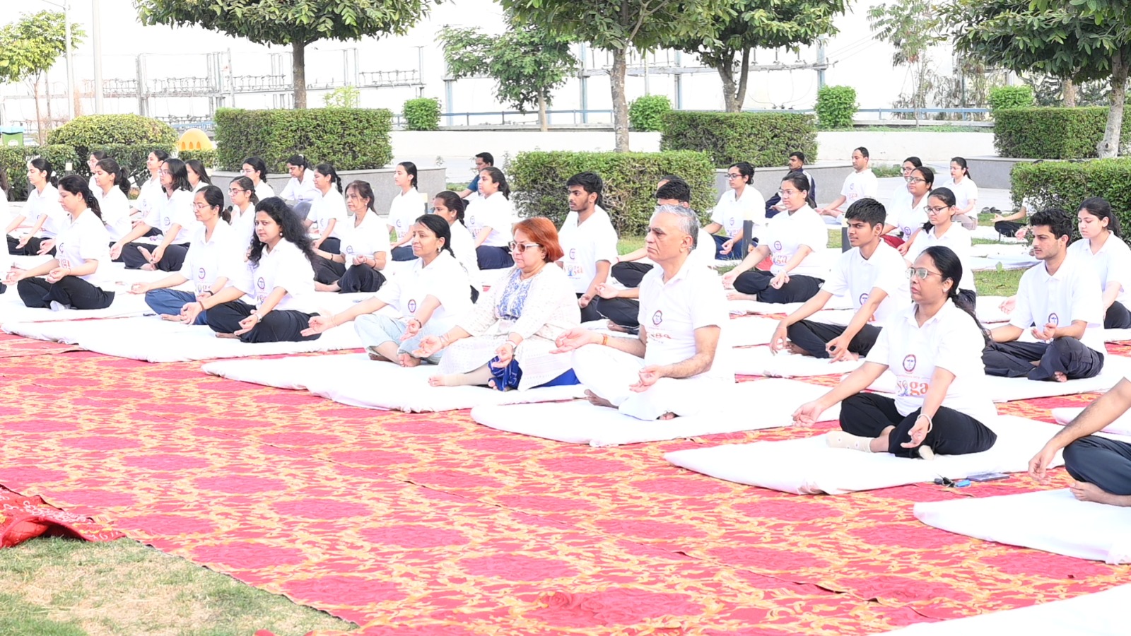 Yoga Day img 2